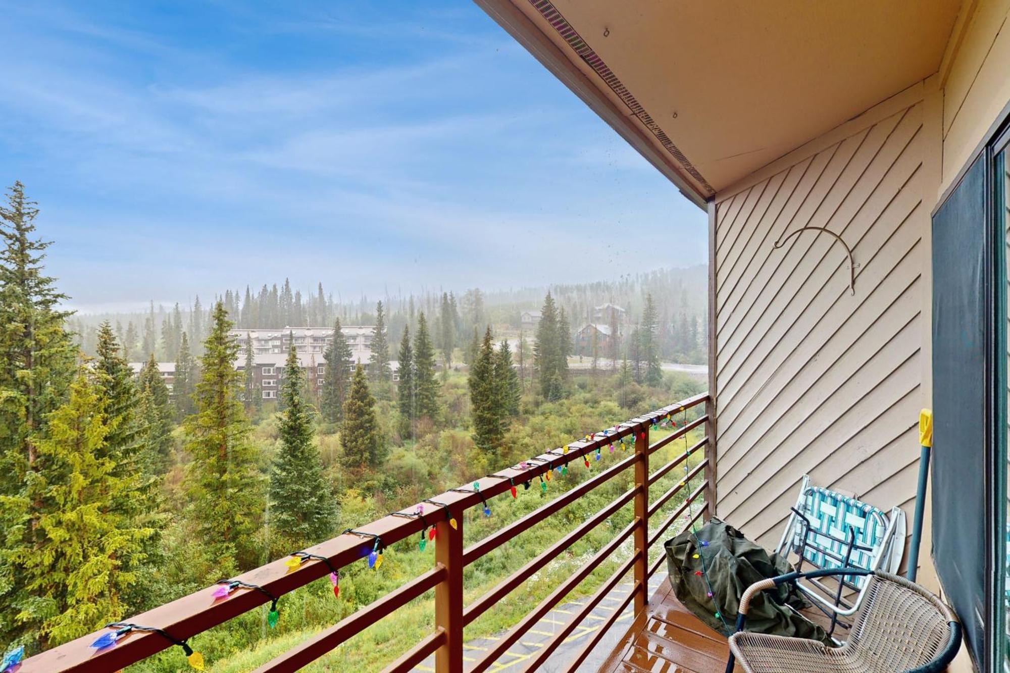 Buffalo Ridge Condos 실버스론 객실 사진